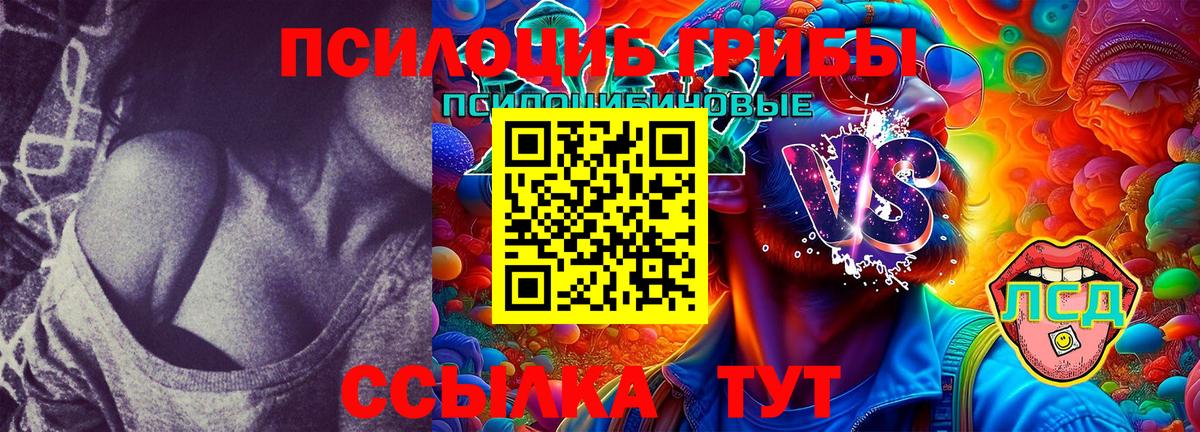Псилоцибиновые грибы GOLDEN TEACHER  Вход с VPN  Салехард 